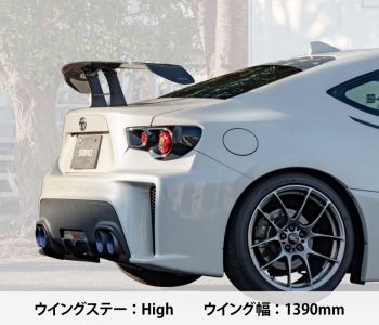 SARD LSR Wing (Universal)