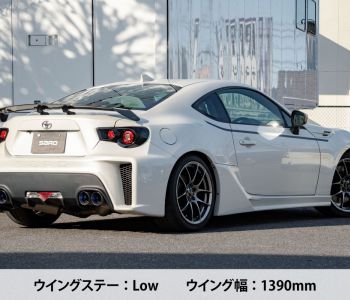 SARD LSR Wing (Universal)