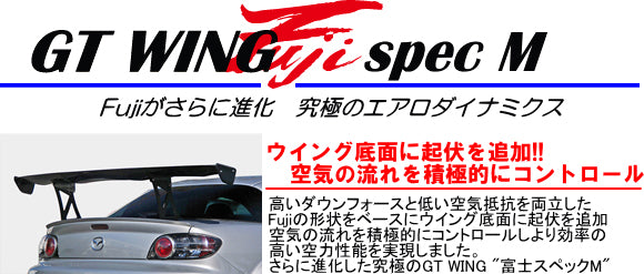 SARD GT Wing 020