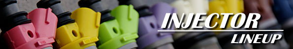 SARD Nissan Skyline (ER34) RB25DET NEO Injector Set