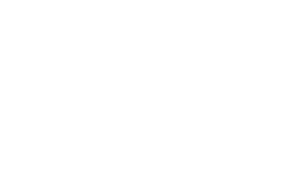 RE Amemiya