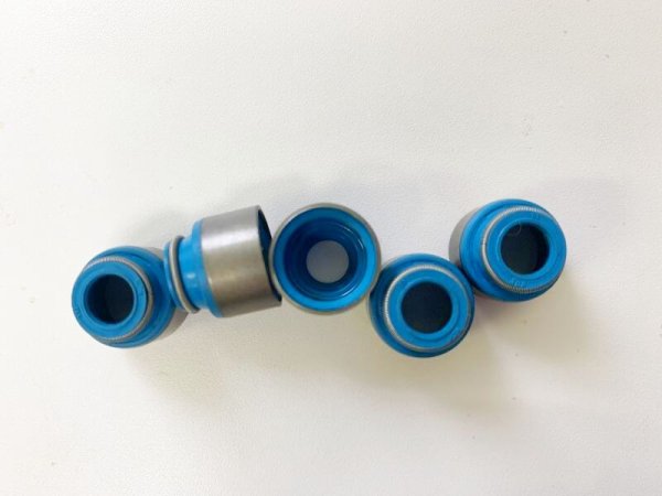 Do-Luck 2JZ Valve Stem Seals