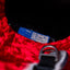 Shoei Custom Helmet (L Size 59-60cm)