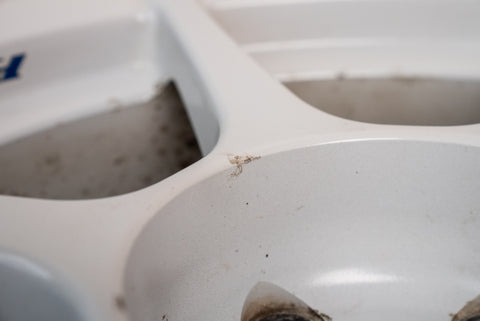 Buddy Club P1 16" 8.5J +37, 8.5J +27  (5x114.3)